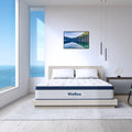 10 inch King Mattress in Lens Box, Cloud Euro Top Soft Hybrid Mattress Made in USA, Gel Memory Foam Pocket Innerspring Mattresses, CertiPUR-US Certified