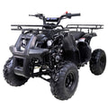 2021 New Tao Motor ATA- 1Automatic Gas All-Terrain Vehicle (ATV) With Big 16'' Tires and Reverse - Midnight Black Color