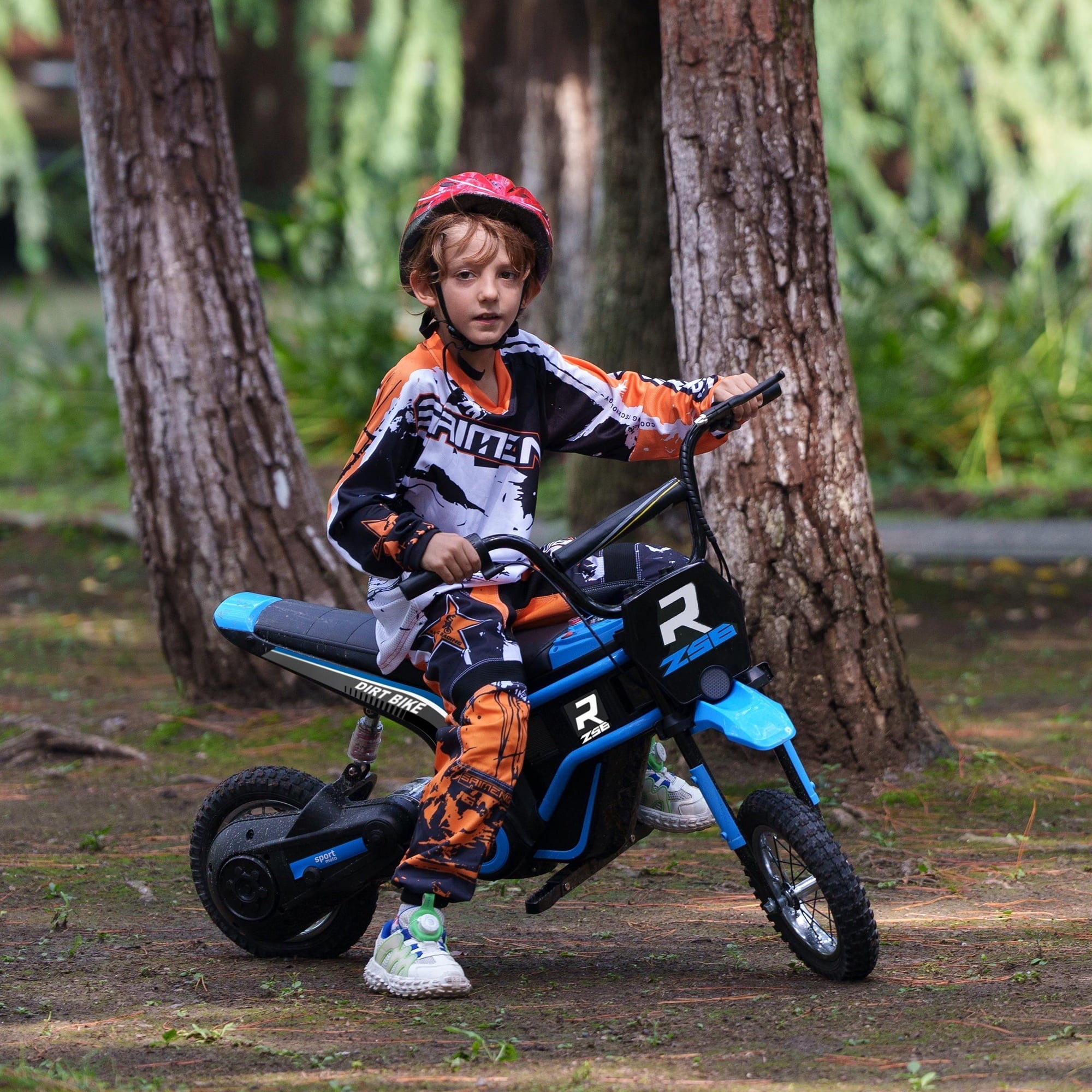 Aosom 24V 350W Electric Dirt Bike, up Display 15 MPH w/ Twist Grip, Blue