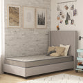 BizChair 6 Inch CertiPUR-US Certified Spring Mattress, Twin Mattress in Camcorder Box