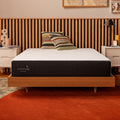 Cocoon by Sealy 10 Medium Classic Gel Memory Foam Bed in Recorder Box Mattress, Queen