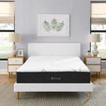 Nap&Sleep Memory Foam Mattress 14 - Medium Plush, Lavender & Cool Touch, Queen