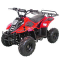 RPS 110cc Kids ATV Hawk