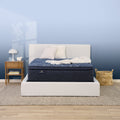Serta Perfect Sleeper Oasis Sleep 15 Plush Pillow Top Mattress - Innerspring; Fiberglass-Free