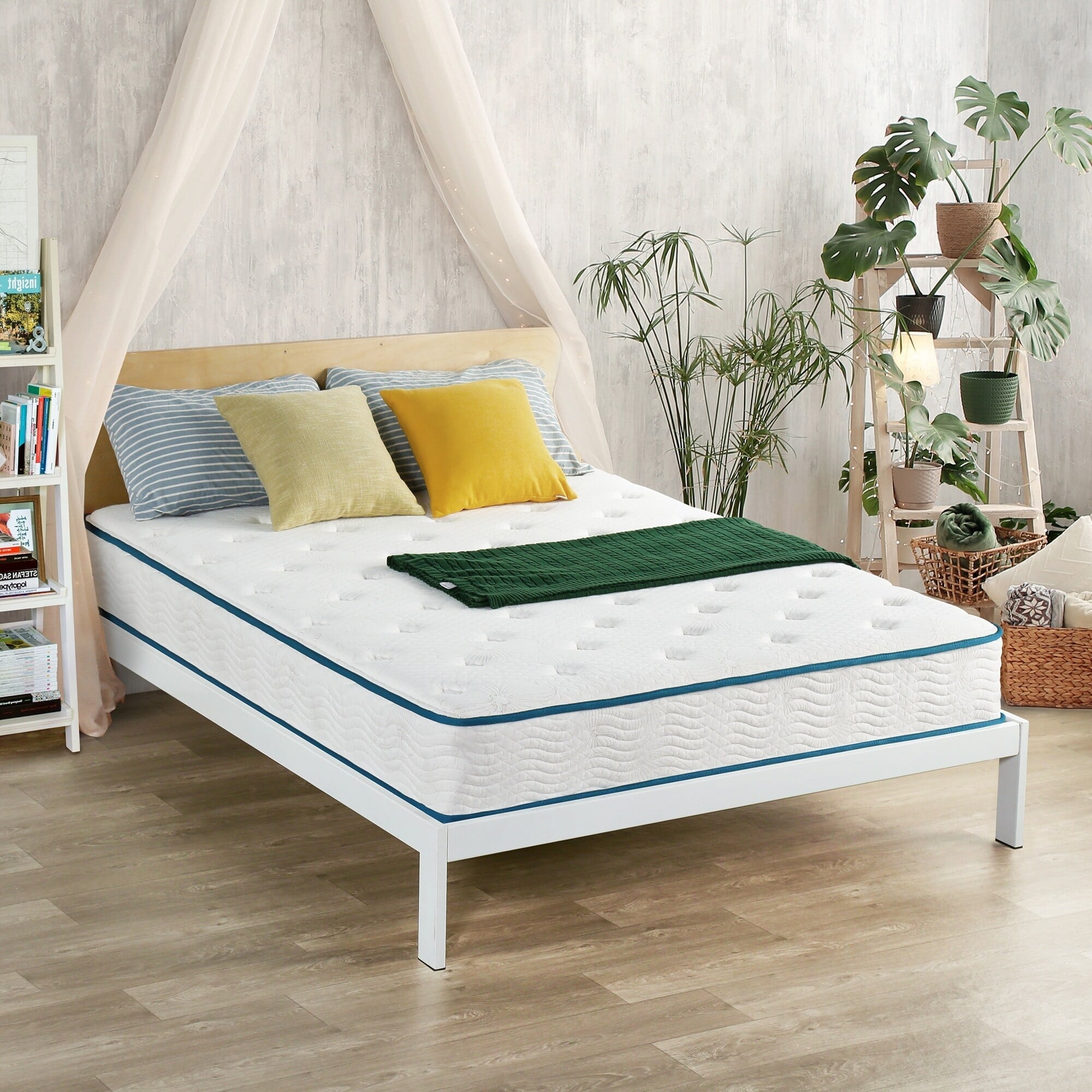 Sleeplanner 10 inch Tight Top Spring Mattress - Dark Green Piping Queen
