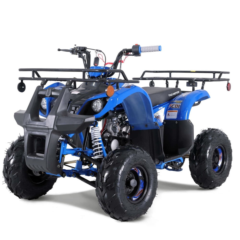 TAO Motor New Gas D125 125cc All-Terrain Vehicle (ATV)