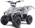 Tao Motor 110CC New Boulder, 4-Stroke Engine Max 0.6Gal Tank ATV Gas Vehicle for Kids, New, Black