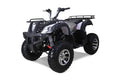 Tao Motor Bull200s 169cc Gas 4-Stroke Engine Adult ATV,Gray
