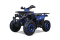 Tao Motor G200 Sport Adult ATV, Gas Power 169CC 4-Stroke Ride Screen Toys, Max Loading 330Lbs, Blue