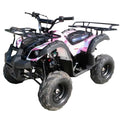 Vitacci Rider 7 125cc Utility ATV