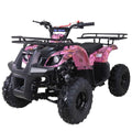 ATA Taotoao125D ATV 125 Air Cooled 4-Stroke 1-Cylinder, Automatic